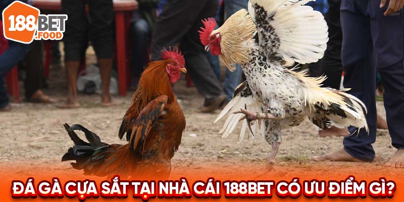 Những lợi ích hấp dẫn khi tham gia đá gà cựa sắt trực tiếp tại nhà cái 188BET là gì?