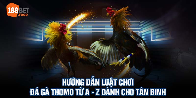 Hướng Dẫn Luật Chơi Đá Gà Thomo Dành Cho Tân Binh