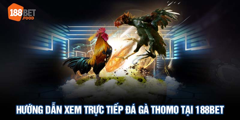 Để theo dõi các trận đá gà, bạn có thể thực hiện các bước sau: