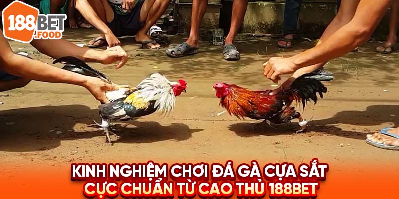 Đầu Tư Kinh Nghiệm Chơi Đá Gà Cựa Sắt Tại Nhà Cái 188BET