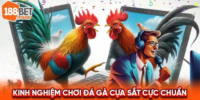 Chia Sẻ Kinh Nghiệm Chơi Đá Gà Cựa Sắt Đỉnh Cao
