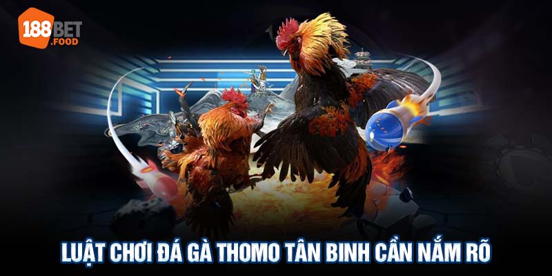 Thiết kế của các đấu trường đá gà Thomo tương tự như các đấu trường đá gà khác. Trước khi trận đấu bắt đầu, các chiến kê sẽ được đưa vào giữa đấu trường, nơi mà chúng sẽ được giữ lại bởi các nhân viên. Chúng chỉ được thả ra khi trận đấu chính thức bắt đầu.