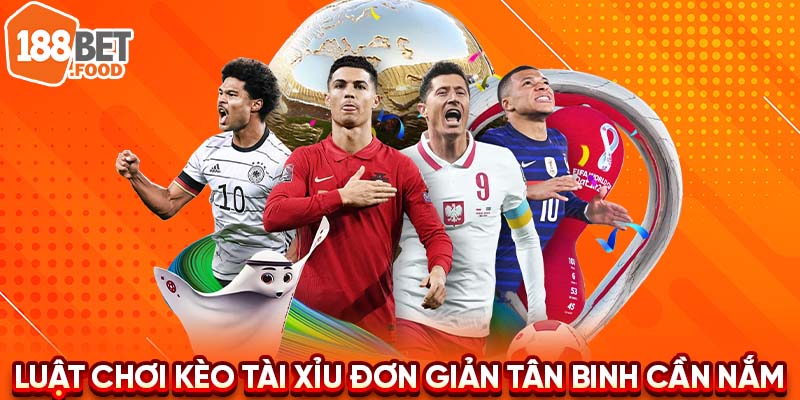 Cách đặt cược Tài Xỉu trong bóng đá rất dễ dàng, bất kỳ ai, kể cả người mới, đều có thể tham gia. Người chơi chỉ cần quyết định đặt cược vào một trong hai lựa chọn: Tài hoặc Xỉu. Tuy nhiên, do có nhiều tình huống khác nhau trong kiểu kèo này, việc hiểu rõ luật chơi là rất quan trọng để điều chỉnh chiến lược một cách linh hoạt.