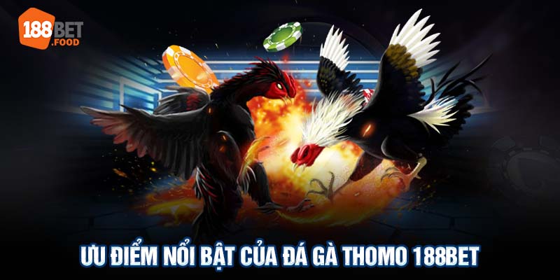 Ưu điểm nổi bật của đá gà Thomo 188BET