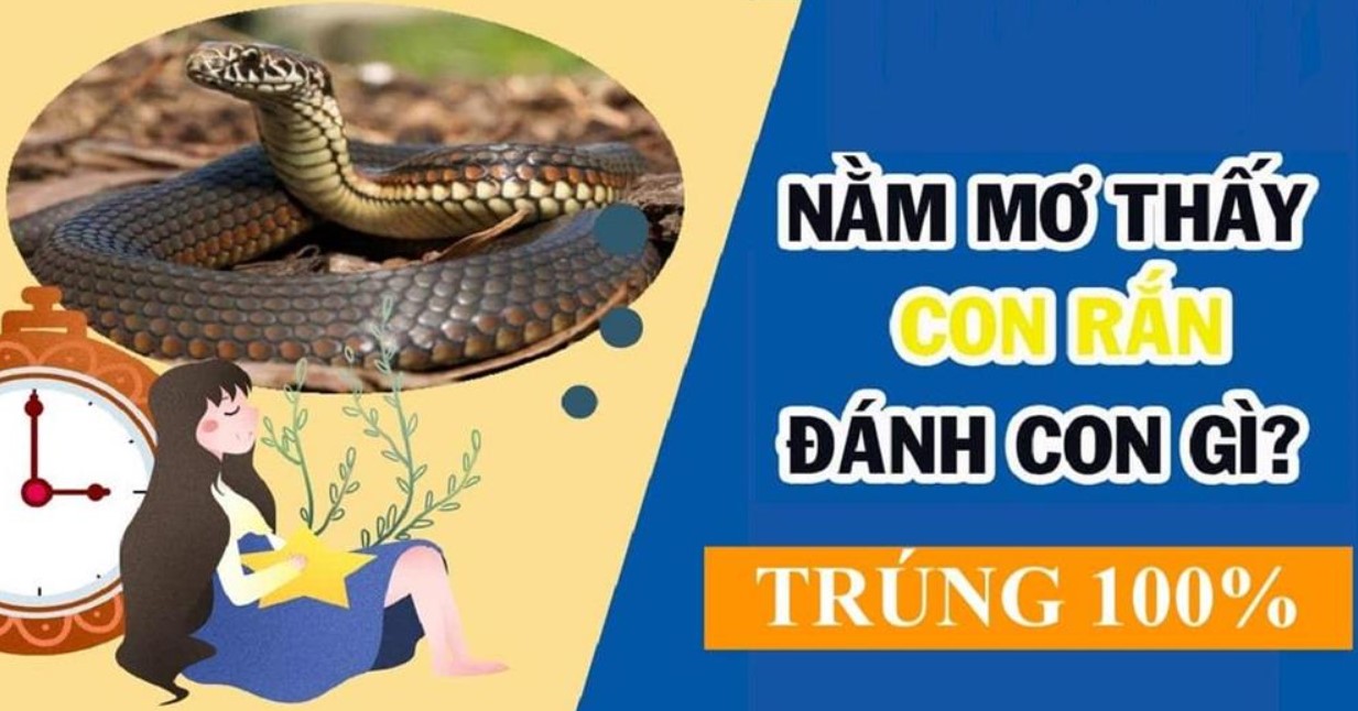 Mơ thấy rắn cắn bạn: Hãy cẩn trọng với các vấn đề về tài chính và kinh doanh vì có thể bạn sẽ gặp phải khó khăn và tổn thất. Đây là dấu hiệu nhắc nhở bạn cần thận trọng và sáng suốt trong mọi quyết định để bảo vệ những gì bạn đã đạt được.